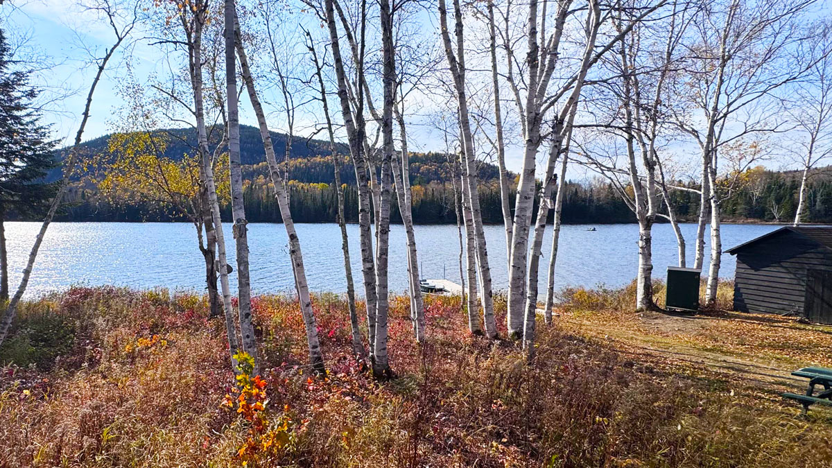 La vue du lac depuis le chalet Bouchette #3, avec un cabanon, un quai et quelques bouleaux